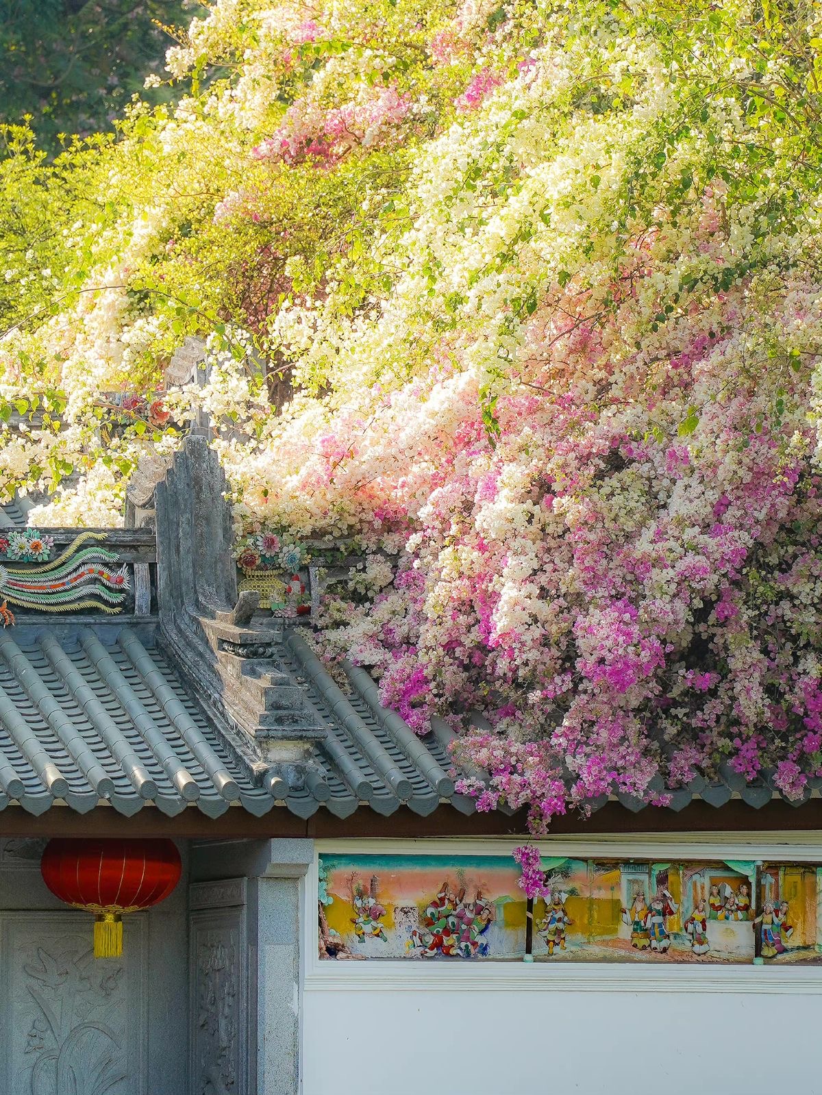 Mẹ Là Ánh Dương Rực Rỡ