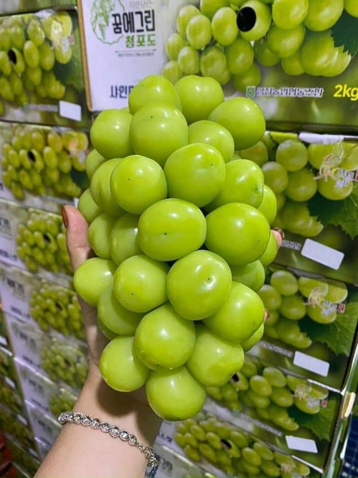 Con Gái Bảo Mẫu Bị Mắc Chứng Bệnh Ảo Tưởng
