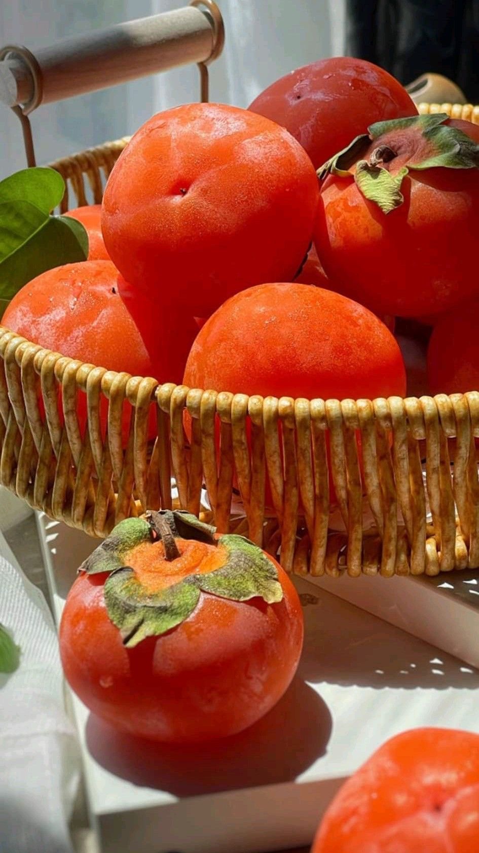 Đồng Nghiệp Xấu Tính