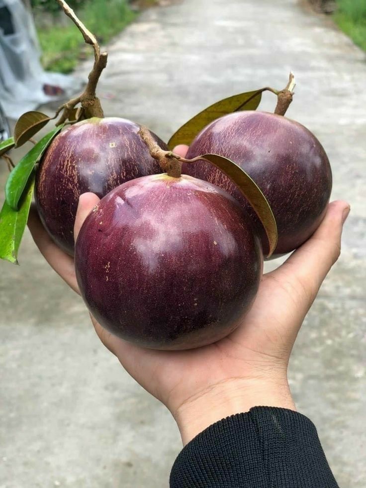 Giọt Nước Tràn Ly