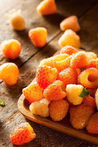 CHỊ RUỘT TRÁO ĐỔI CON CỦA TÔI